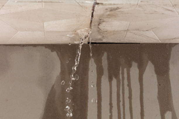 Professional Flood Damage Cleanup technician working in Northfield, KY